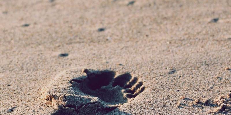 广州新悦斯42：探索华南服饰批发的核心枢纽与选品攻略