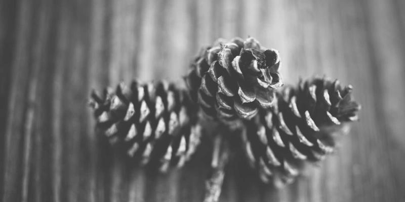 广州新悦斯49：服饰批发与品牌加盟的黄金枢纽，开启财富新篇章