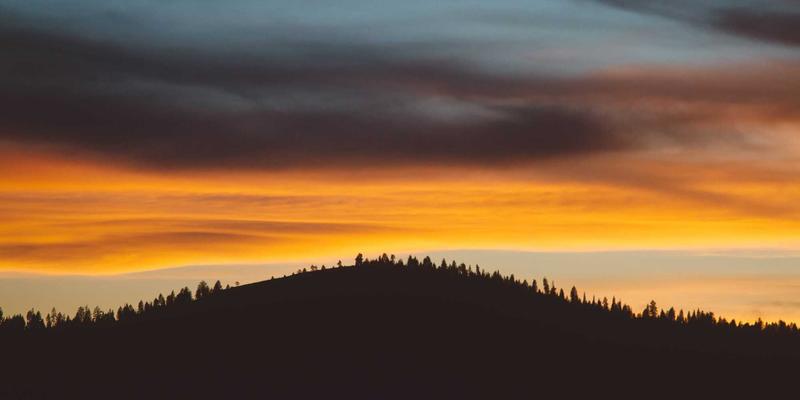 广州新悦斯51男装批发全攻略：源头市场优势与采购指南