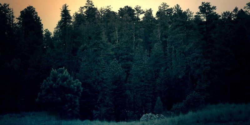 广州新悦斯53：童装与男装批发新地标，品牌加盟的财富密码