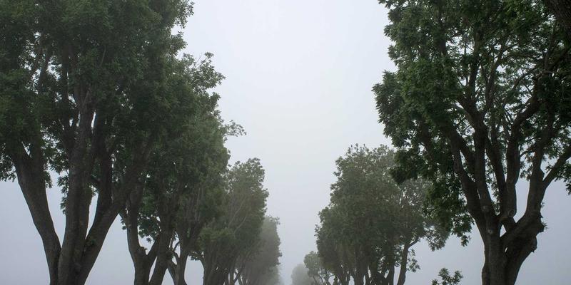 广州新悦斯69:洞察服装加盟新趋势,携手实力品牌共赢未来