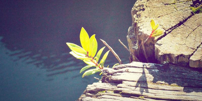 广州新悦斯71：一站式服装批发全攻略，男装女装源头直采新地标