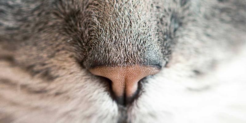 广州新悦斯73:一站式男装女装批发基地的采购攻略与优势解析