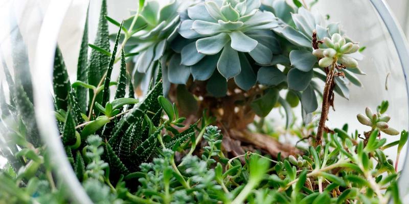 广州新悦斯88:服装批发与品牌加盟的黄金枢纽