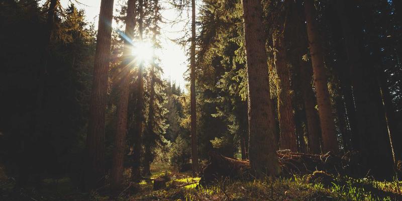 广州新悦斯前景解析：品牌加盟与服饰批发的行业新机遇