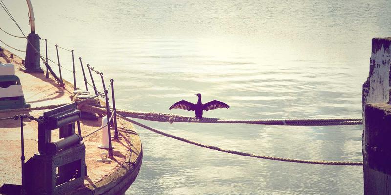 广州新悦斯原创设计师品牌孵化策略解析:从showroom到商业落地的生态闭环